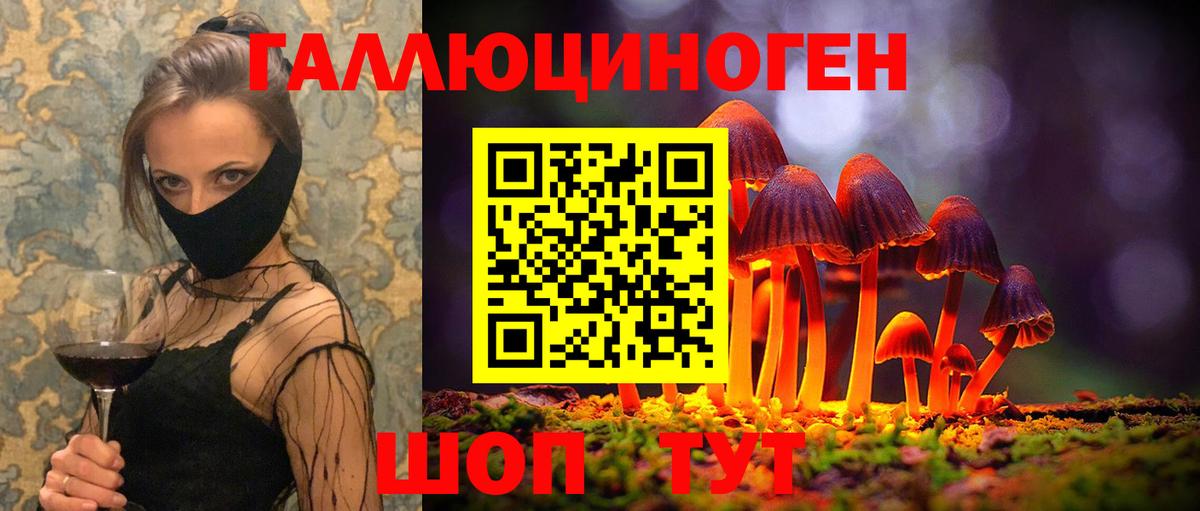 как найти   Галлюциногенные грибы Psilocybine cubensis  Вход с VPN  Минусинск 